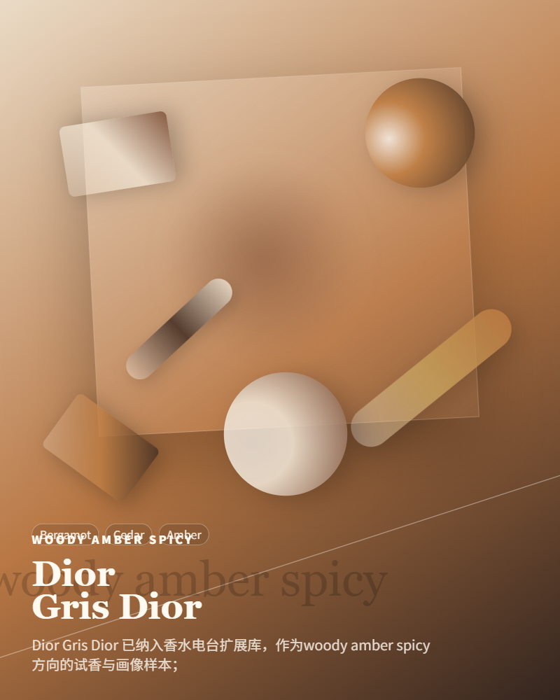 Dior – Gris Dior