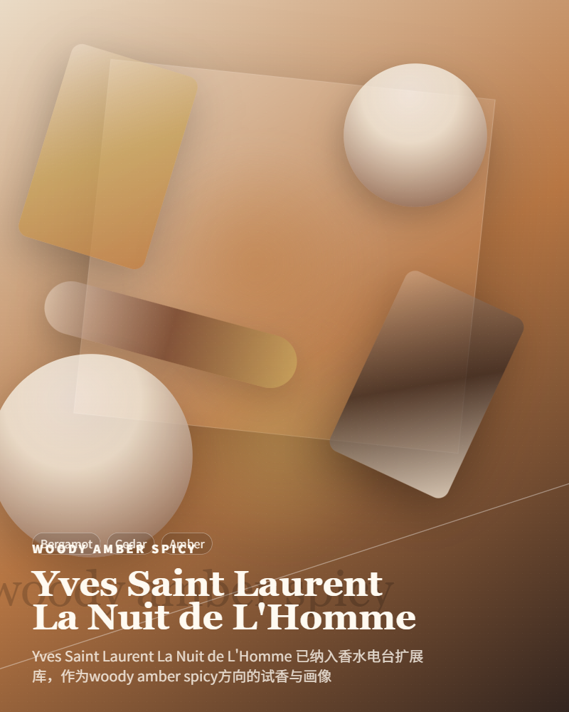 Yves Saint Laurent – La Nuit de L’Homme